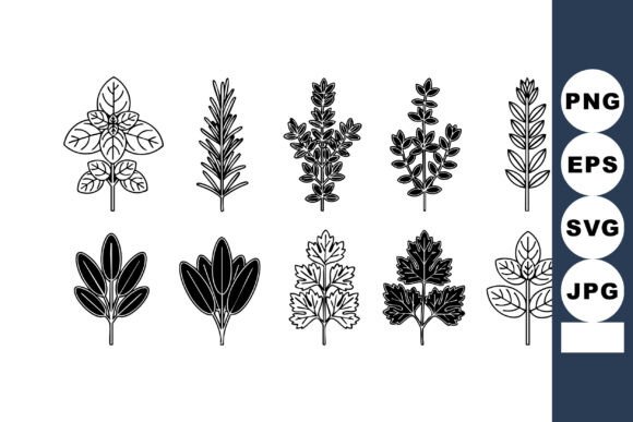 Decorative Black and White Nature: 10 Botanical Leaf Icons