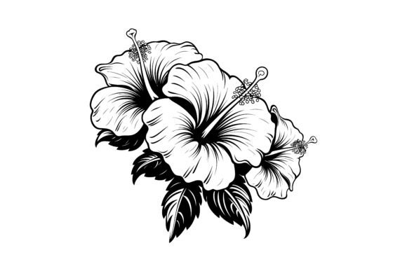 Unveiling the Decorative Hibiscus Flower Silhouette